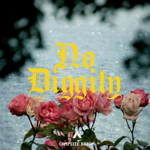 Campsite Dream - No Diggity - Line Dance Musik