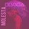 Molesta - Elsha lyrics