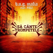 Sa Cante Trompetele (feat. Feli) artwork