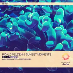 Submerge - Single by Roald Velden, Sunset Moments & Emro album reviews, ratings, credits