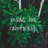 Inside the Rainforest artwork