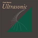 Field Works & Felicia Atkinson - Night Vision, It Touched My Neck