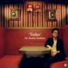 Jamie Cullum - Taller  artwork