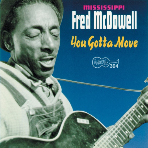 Art for You Gotta Move by Mississippi Fred McDowell