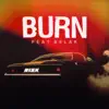 Burn (feat. Belak) - Single album lyrics, reviews, download