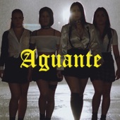 Aguante artwork