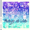Pedazo De Vida - Single