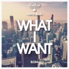 What I Want - Single