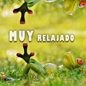 Muy Relajado artwork