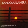 Bandola Llanera, Vol. 1