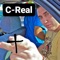 C-Real - Shota J lyrics