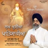 Bhai Shokeen Singh Ji - Sab Dhan Kaho Gur Satguru