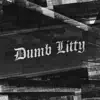 Dumb Litty - Single album lyrics, reviews, download