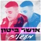 מעגלים artwork