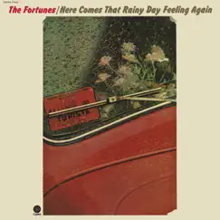 Here Comes That Rainy Day Feeling Again by The Fortunes album reviews, ratings, credits