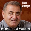 Momer em Varum