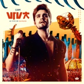 VIVA (Ao Vivo) artwork