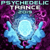 Psychedelic Trance 2019 (DJ Mix) artwork