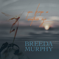 Breeda Murphy - You Keep a Weather Eye artwork