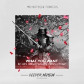 What You Want (Barbary & Shaen Remix) artwork