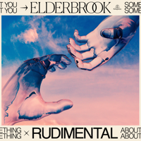 Elderbrook & Rudimental - Something About You artwork