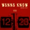 Wanna Know - Michael Rich lyrics