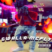 Gwalla McFly artwork