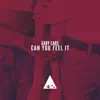 Can You Feel It (Club Mix) - Single album lyrics, reviews, download
