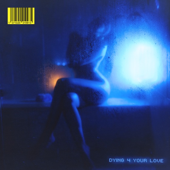 Cover artwork for DYING 4 YOUR LOVE