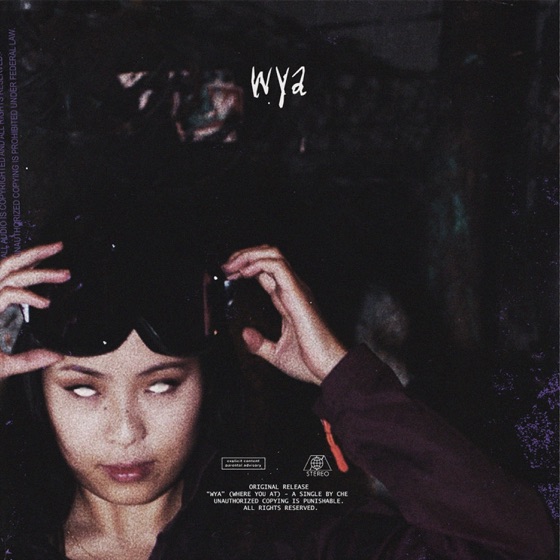 Cover artwork for Wya