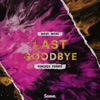 Last Goodbye - Single