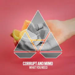 What You Need - Single by Corrupt & MIMO album reviews, ratings, credits