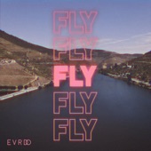 Fly artwork