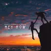 Hey Now - Single album lyrics, reviews, download