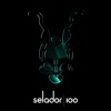 Selador 100, 2019