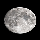Hex1134 - Buck Moon