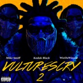VULTURES CRY 2 (feat. WizDaWizard and Mike Smiff) artwork