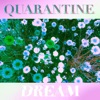 Quarantine Dream