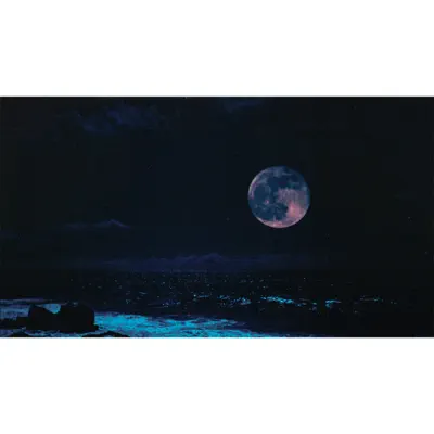 Jupiter - Single - Buck-Tick