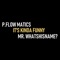 It's Kinda Funny (feat. Mr.Whatshisname?) - P.Flow Matics lyrics