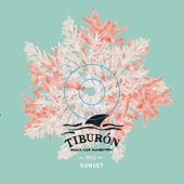 Tiburón Beach Club Formentera 5 Sunset (Mixed by Lorenzo Al Dino & Arnold) [DJ Mix] artwork