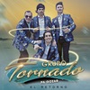 Quiero enamorarte - Single