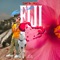 fiji* - Data Luv lyrics