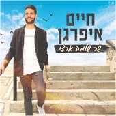 שר שלמה ארצי artwork