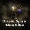 Orient Spirit (feat. Doan) artwork