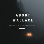 About Wallace - You Didn't Mind