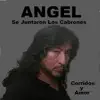 Se Juntaron Los Cabrones Corridos Y Amor album lyrics, reviews, download