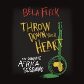 Throw Down Your Heart: The Complete Africa Sessions artwork