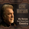 My Heroes Have Always Been Country