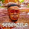 Sebenzela, 2020